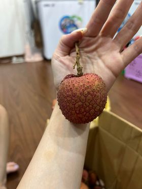 Vải trứng Hưng Yên