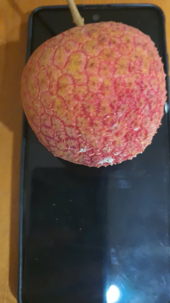 Vải trứng Hưng Yên