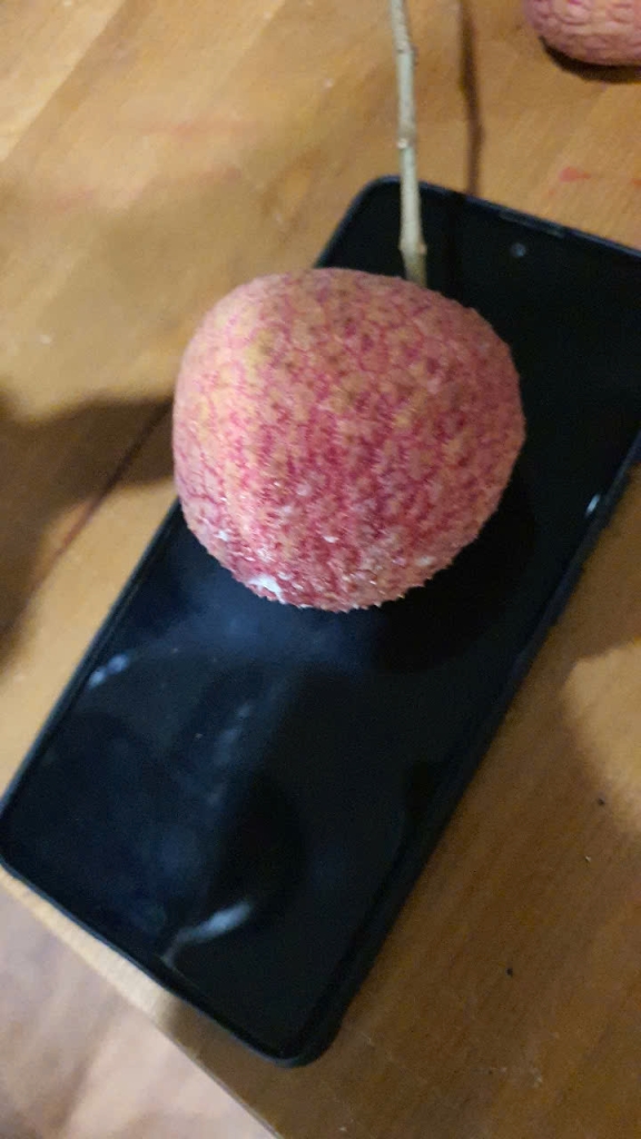 Vải trứng Hưng Yên