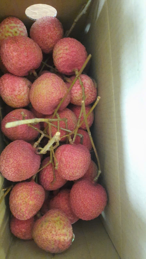 Vải trứng Hưng Yên