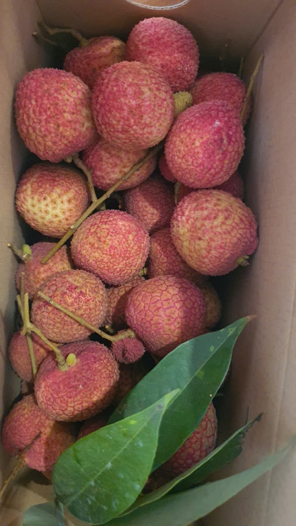 Vải trứng Hưng Yên