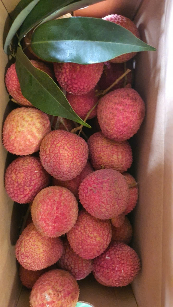 Vải trứng Hưng Yên