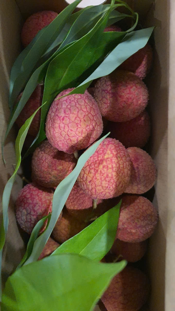 Vải trứng Hưng Yên