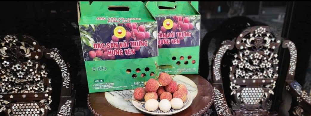 Hộp quà Vải Trứng sang trọng biếu tặng đối tác, bạn bè và người thân.