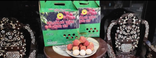 Hộp Vải làm quà biếu sang trọng